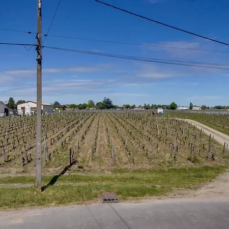 De Caractere Au Centre De Emilion *