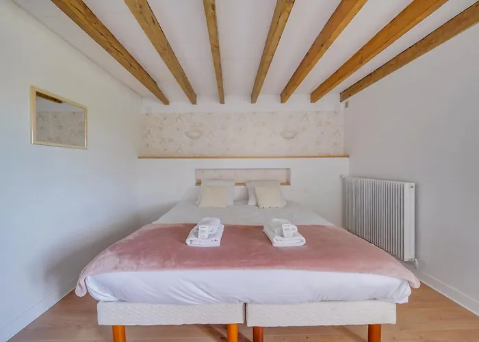 De Caractere Au Centre De Emilion *