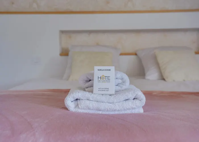 Villa De Caractere Au Centre De Emilion