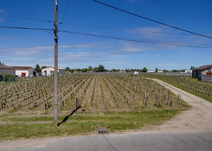 De Caractere Au Centre De Emilion Villa *